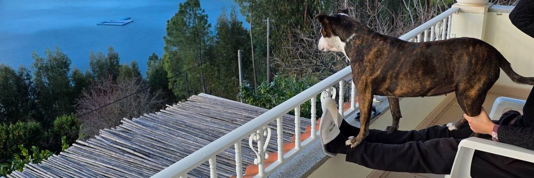Fabao37's profile banner image
