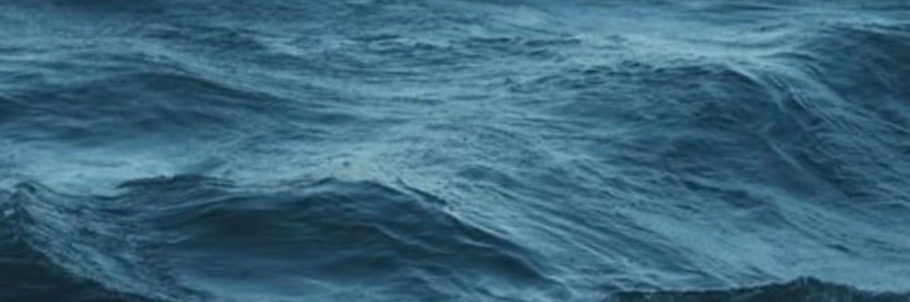 LittleOwll6's profile banner image