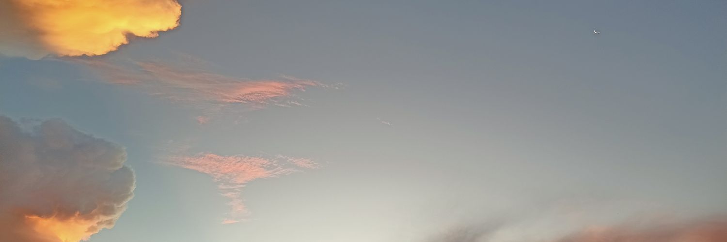 DanielVillela_'s profile banner image