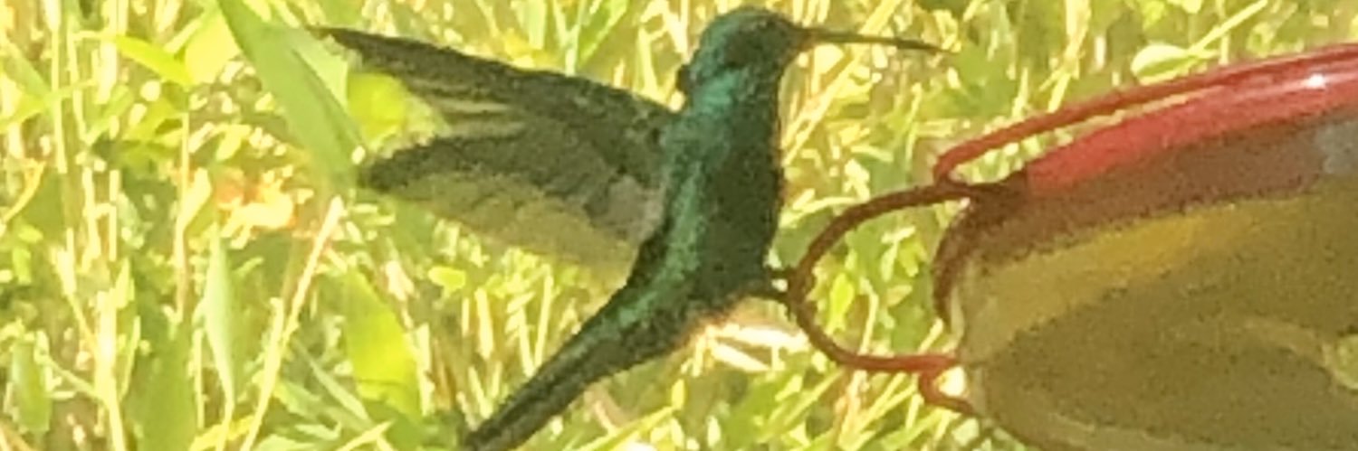 solevelayepez's profile banner image