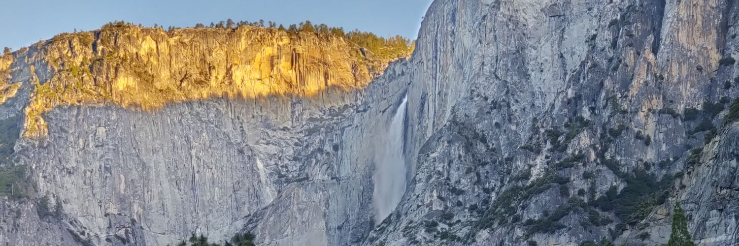 STLBlue66's profile banner image