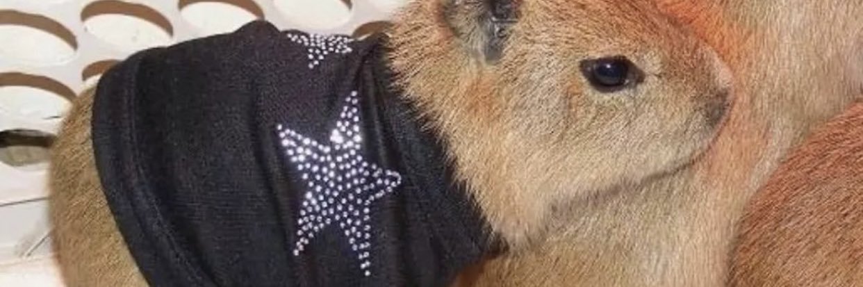 Marshamyy's profile banner image