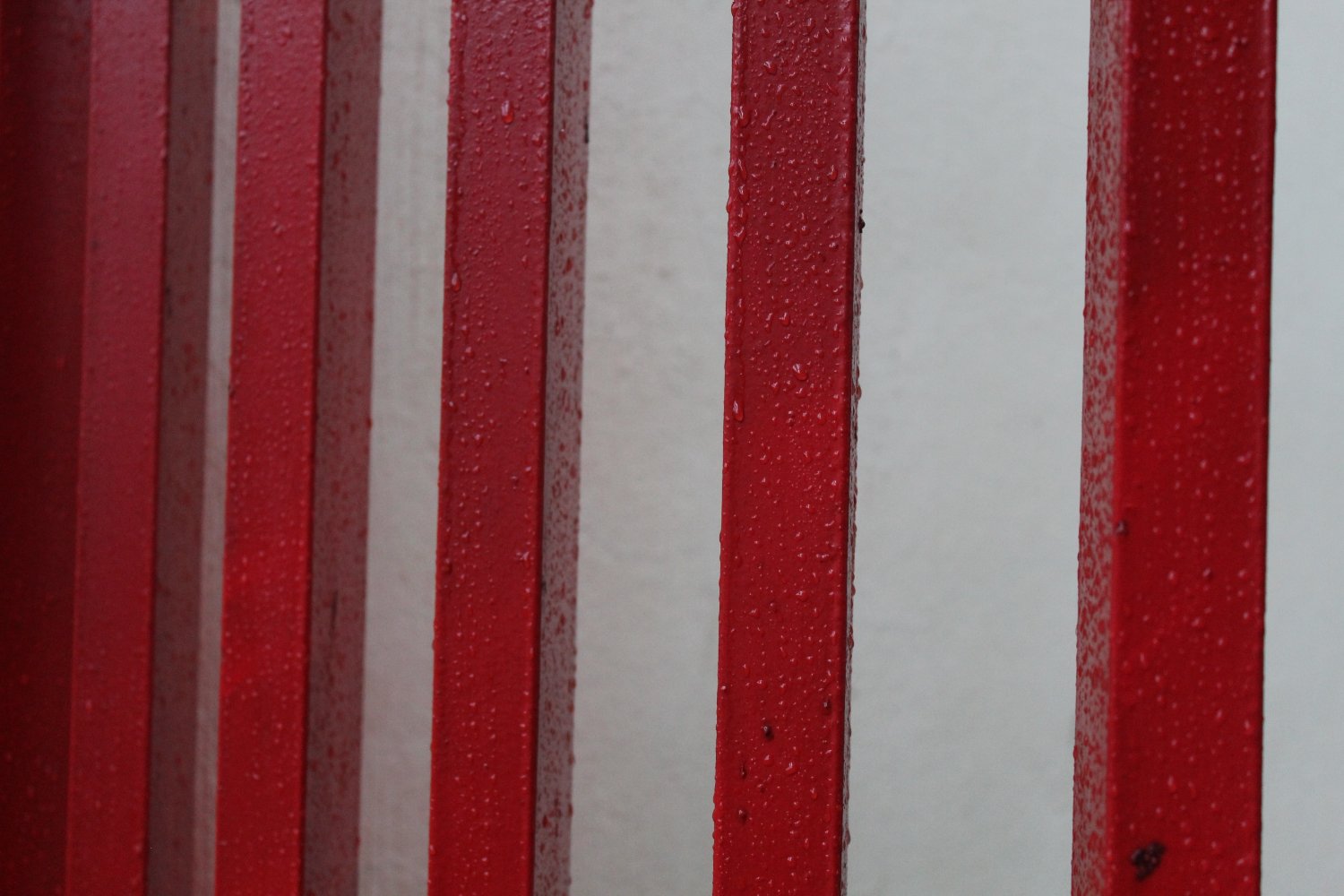 ganstel01's profile banner image