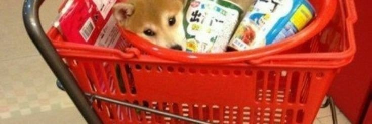 ★ ᴀɪᴅᴀʏ ᴘʀᴀᴍᴜᴅᴀ²⁶ banner