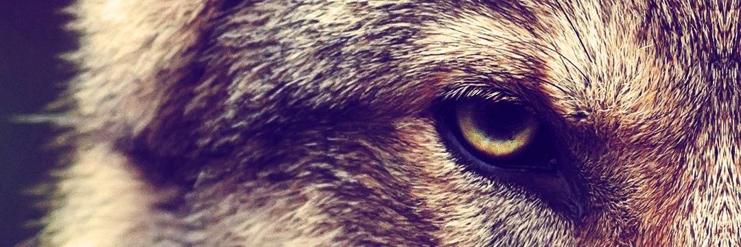 jsmfa46's profile banner image