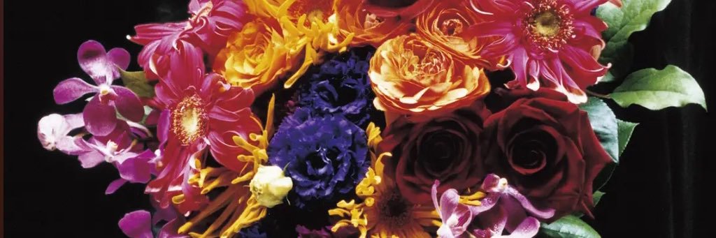 tatica_RORO's profile banner image
