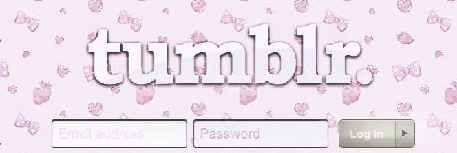 ☁️ shαsα𝅄 ²⁸ ּ ࿔ banner