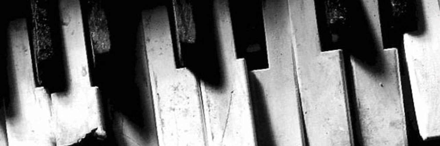 sezgin alkan banner
