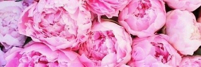 jillypends's profile banner image