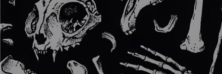 kot_sashsha's profile banner image