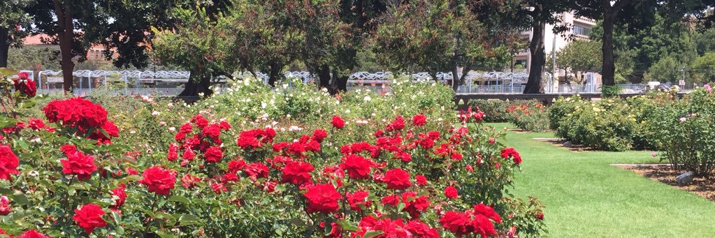DeborrahGilbert's profile banner image