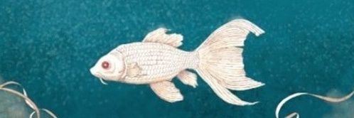 alicanmandan's profile banner image