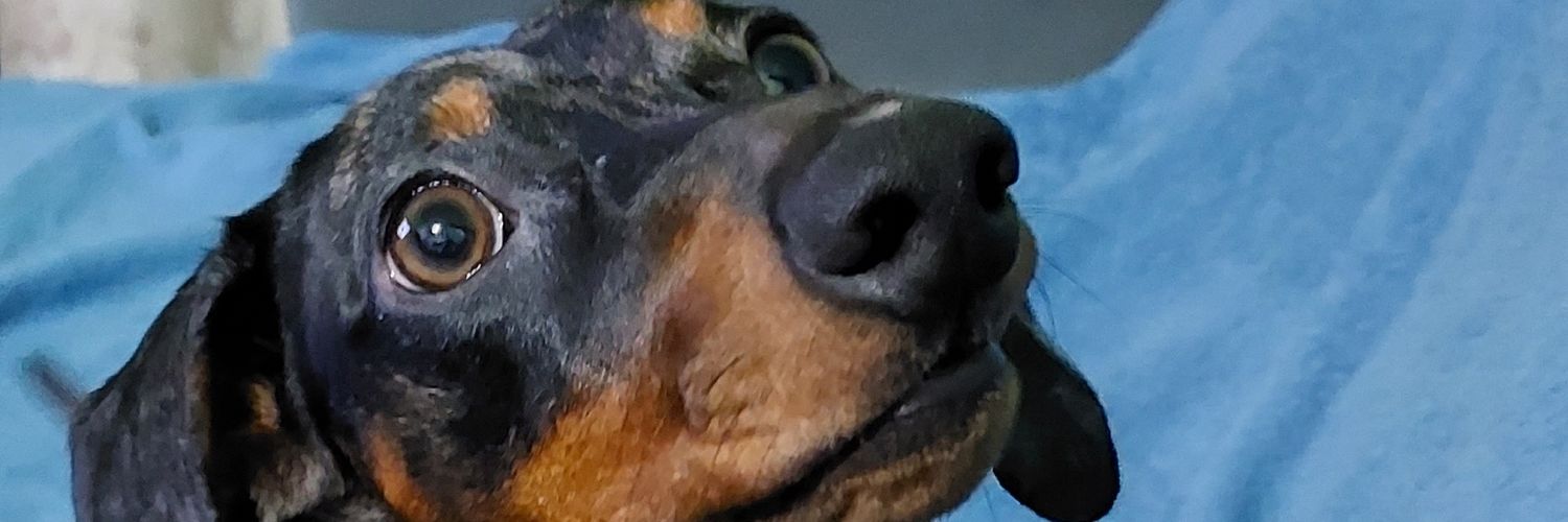 djrdias's profile banner image