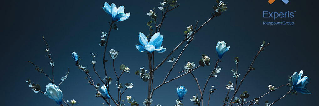 carolgm5's profile banner image