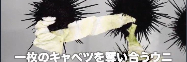 e1u_04's profile banner image