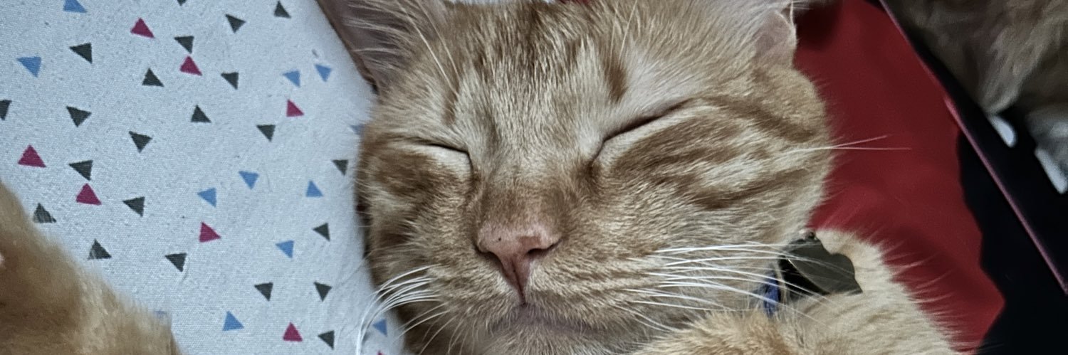 Issadelgado's profile banner image