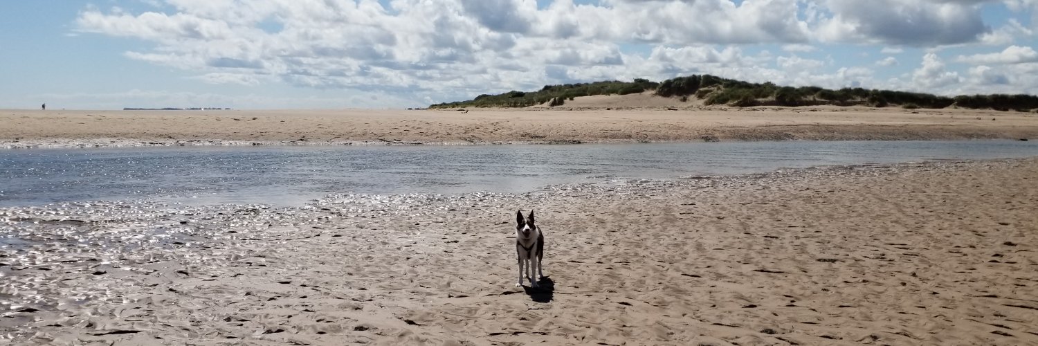Louise Brough banner