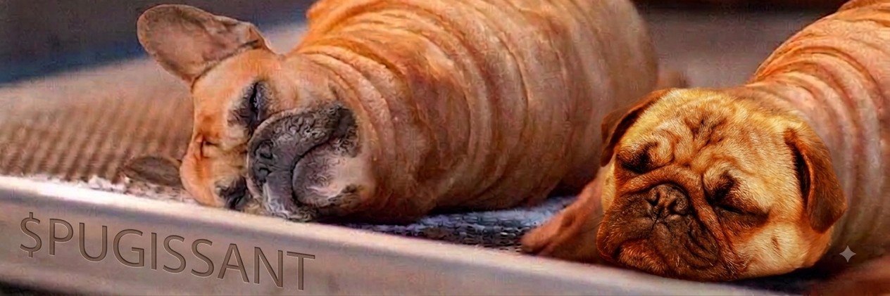 Pugissant's profile banner image