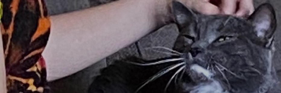 maynardstwin's profile banner image
