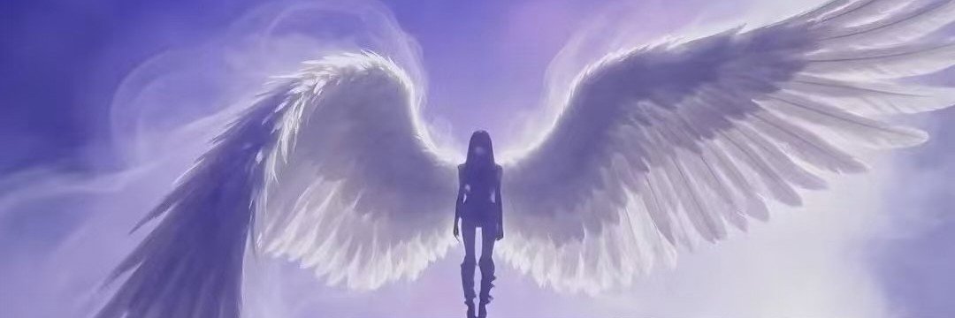 maikihno's profile banner image
