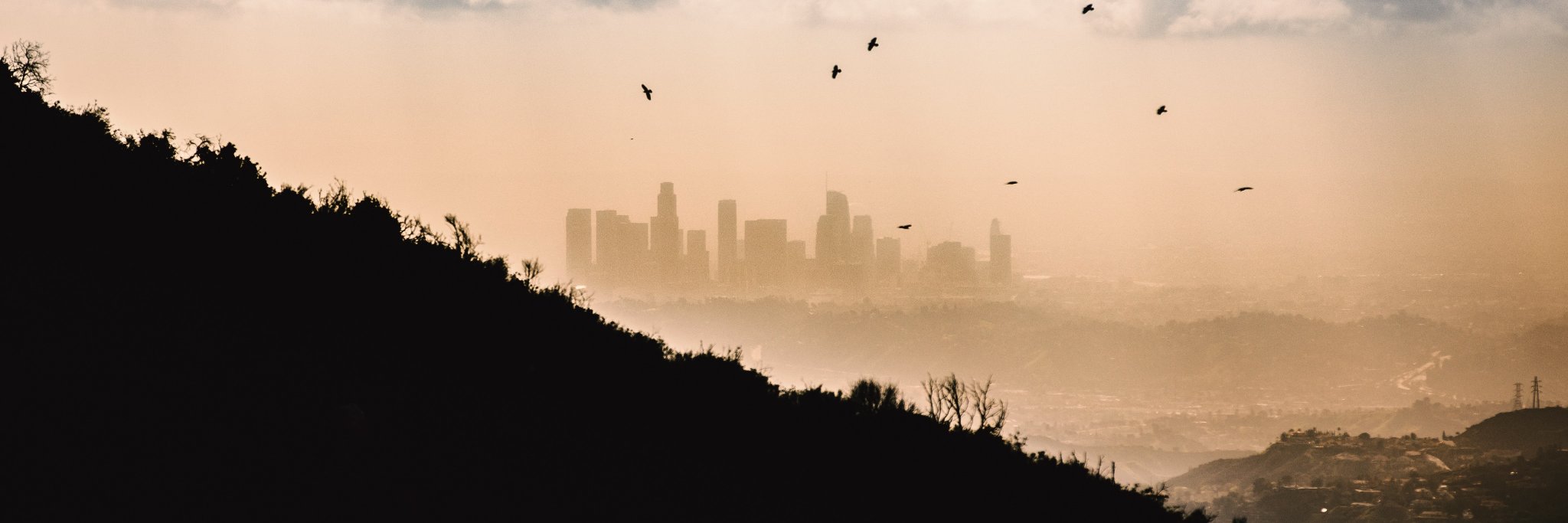 Mark Labberton banner