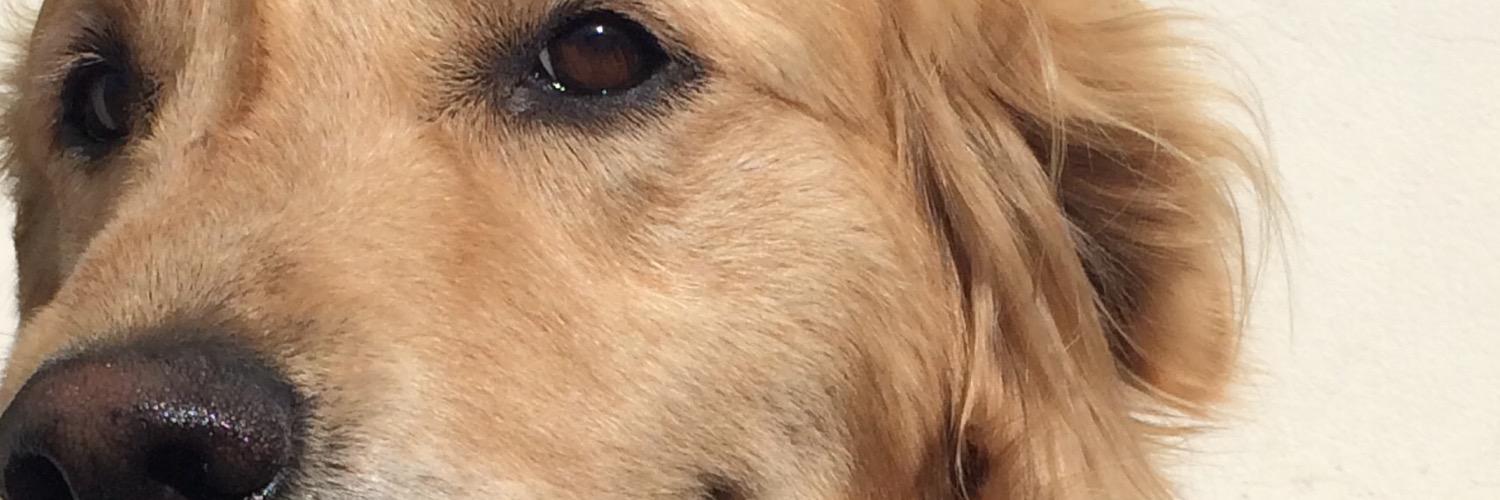 sergioyonfa's profile banner image