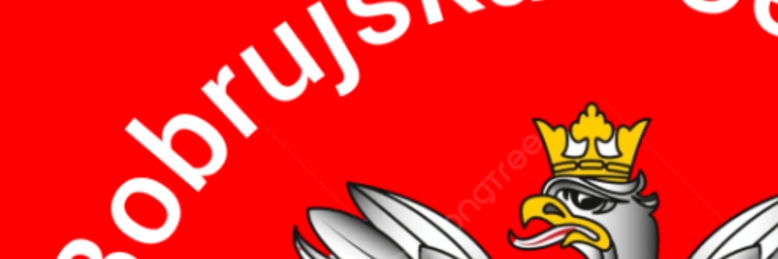 BobrujskPL's profile banner image