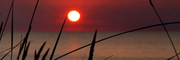Vivii34CS's profile banner image