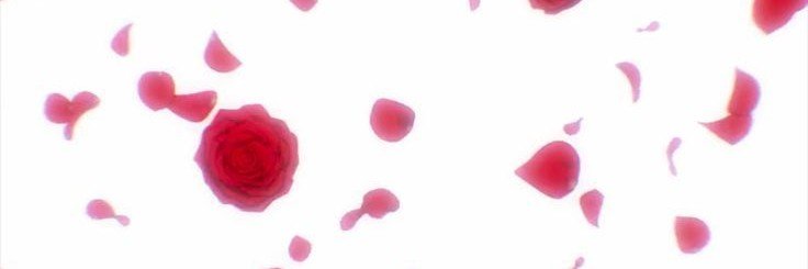 Malinowko's profile banner image