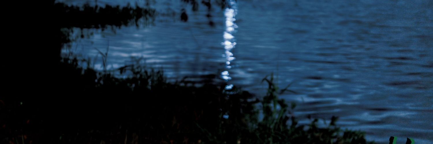 exonvision's profile banner image