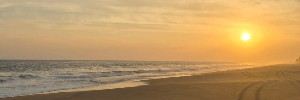 almotto's profile banner image