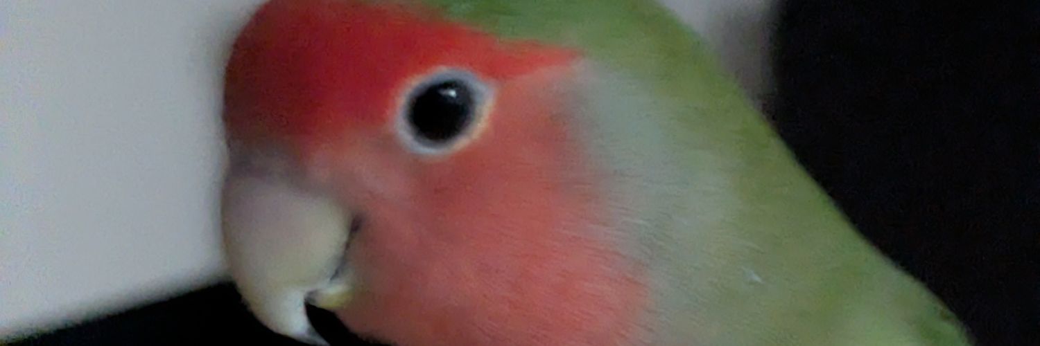 Y__uolk's profile banner image
