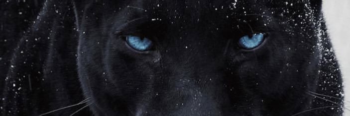 hakanelbe's profile banner image