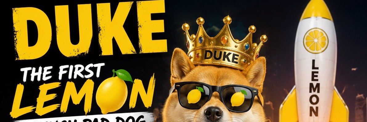 lemondukefun's profile banner image