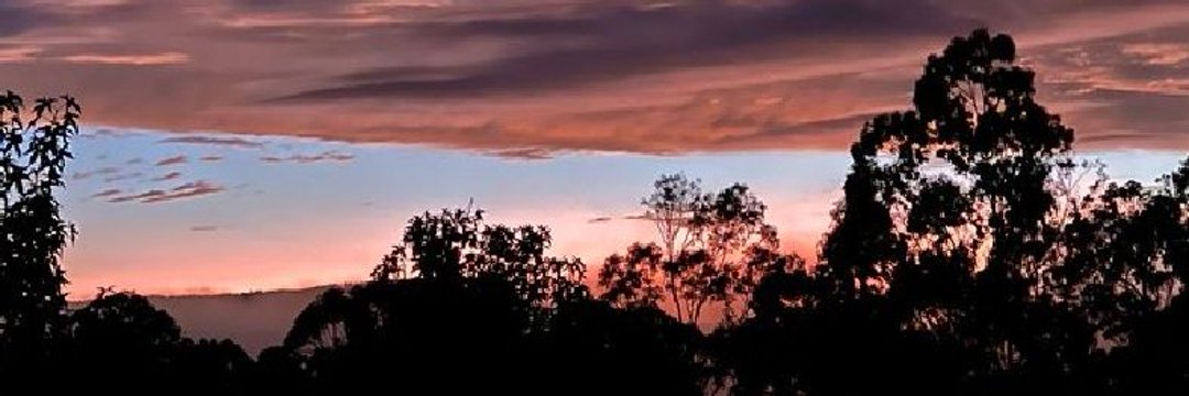Barbara18984's profile banner image