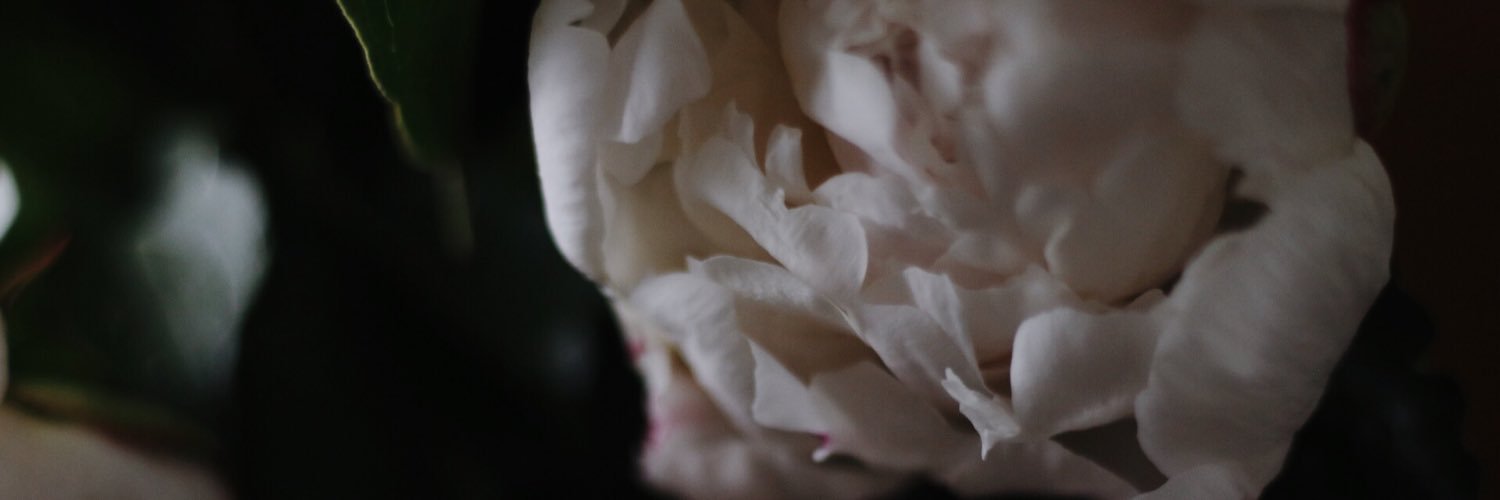 mattielhamby's profile banner image