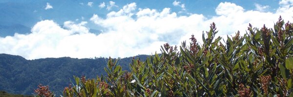 esancaro Profile Banner