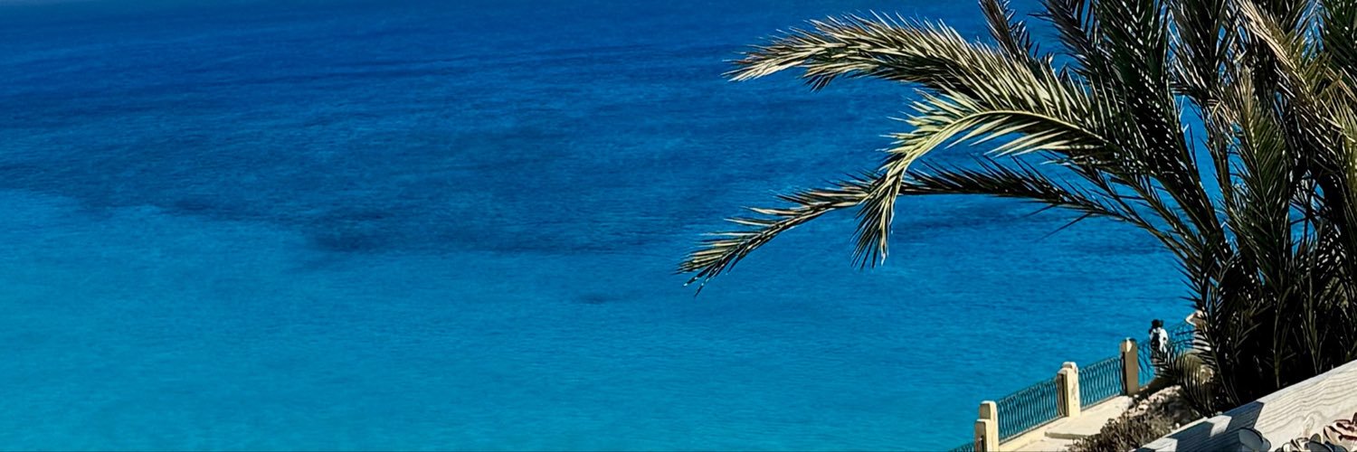 Wuwu8o's profile banner image