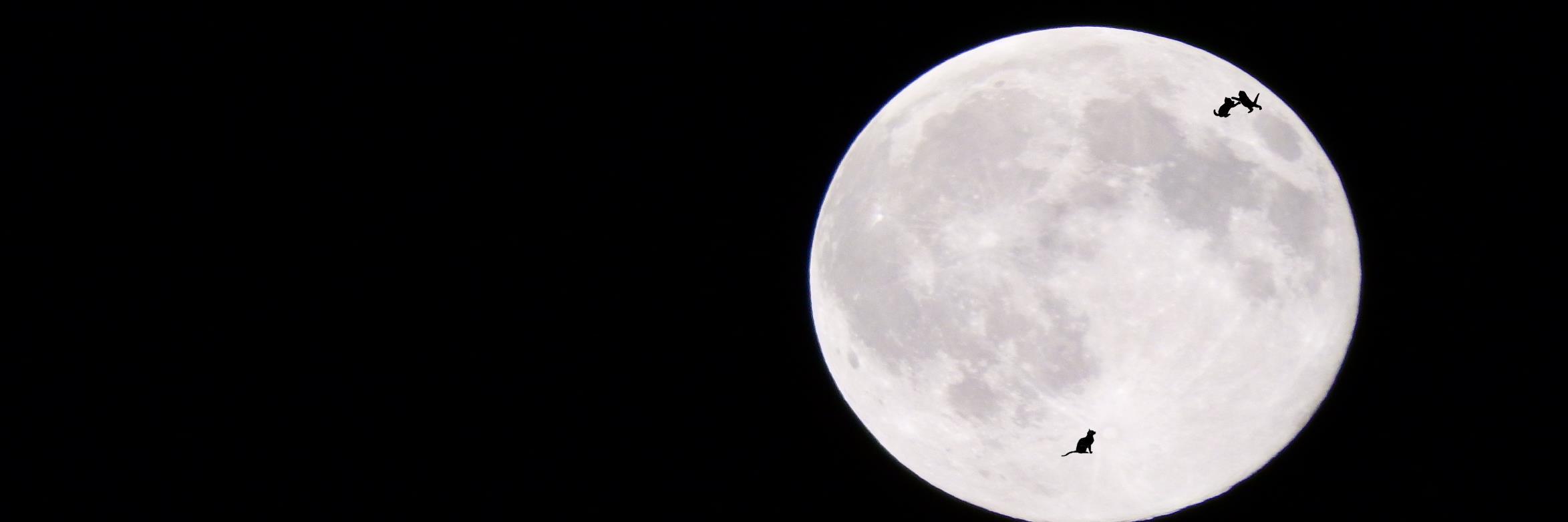 revtk4's profile banner image