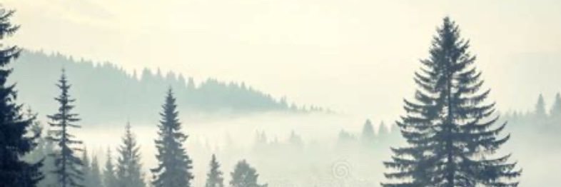 bothunter24's profile banner image
