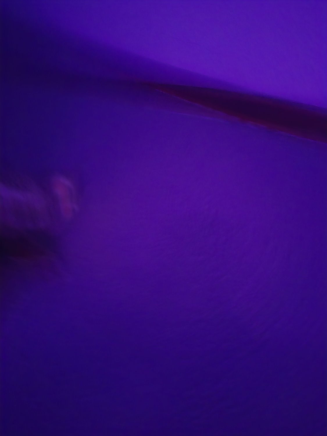 TheGuySonicCa's profile banner image