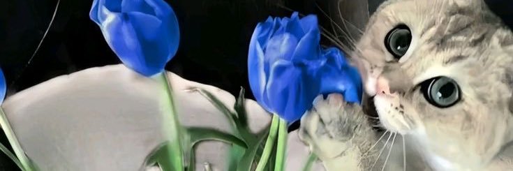 monroebygi's profile banner image