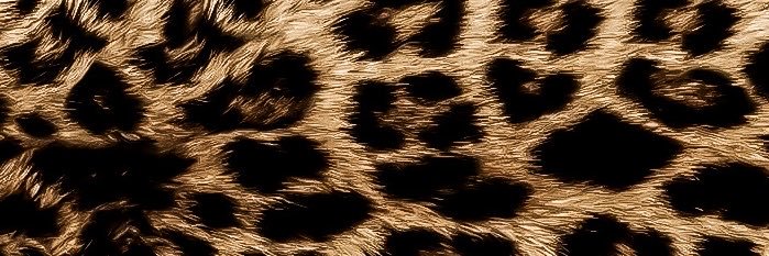 Miminelles's profile banner image