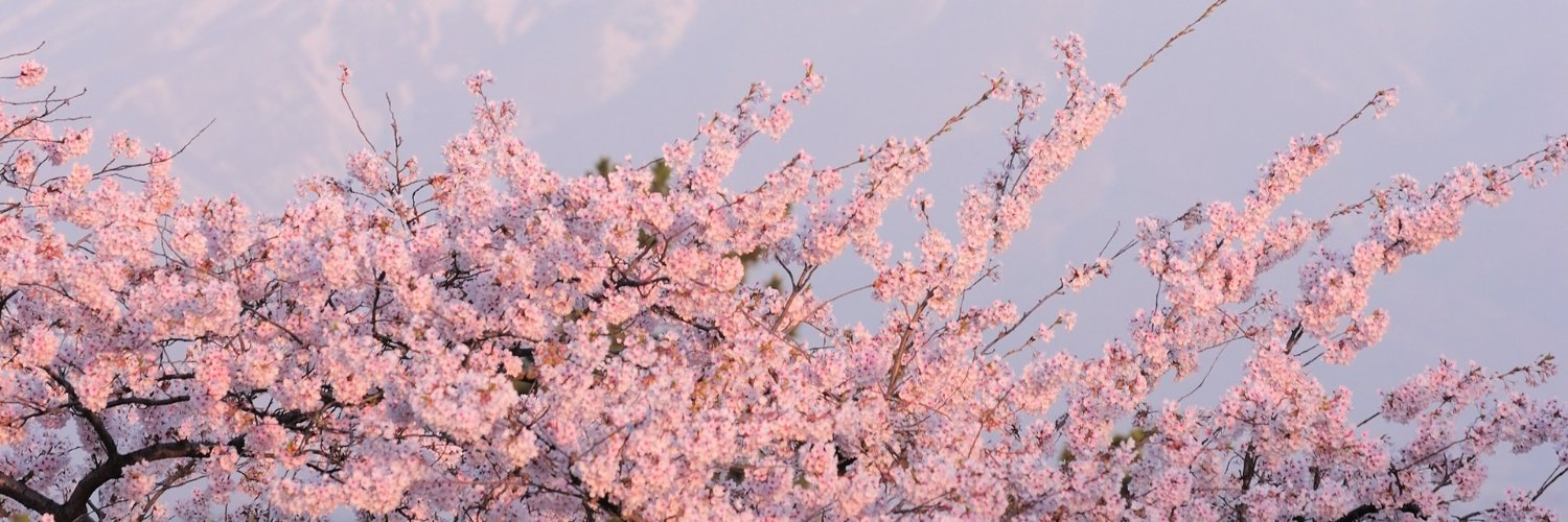 Natt banner