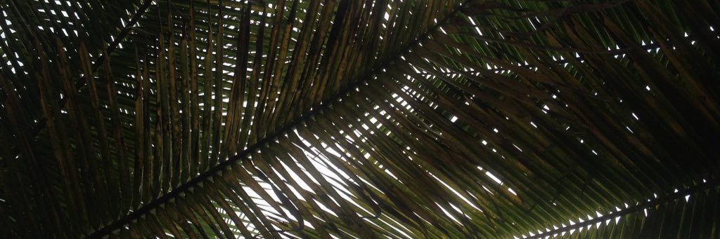 Aizeck88's profile banner image