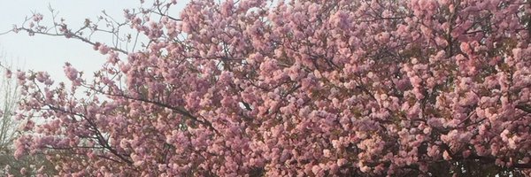 sallysykescomms Profile Banner