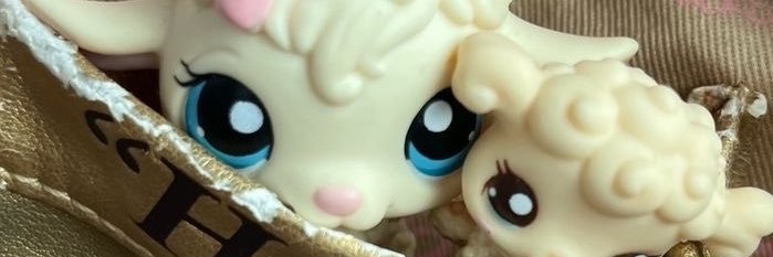 4๓ banner