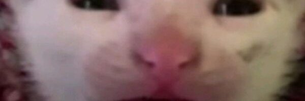 SarahMarshz9's profile banner image