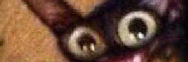 stephpalallos's profile banner image