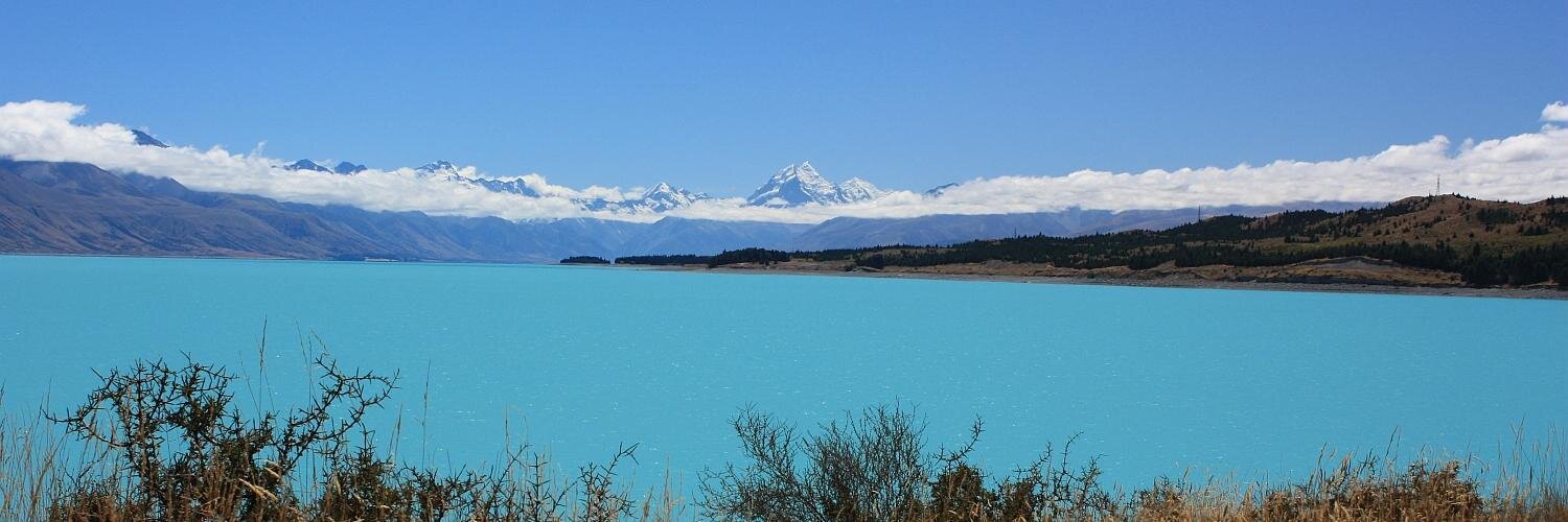 Albert Freeman banner